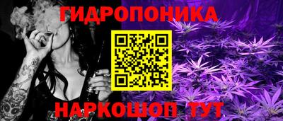 прущие грибы Ливны