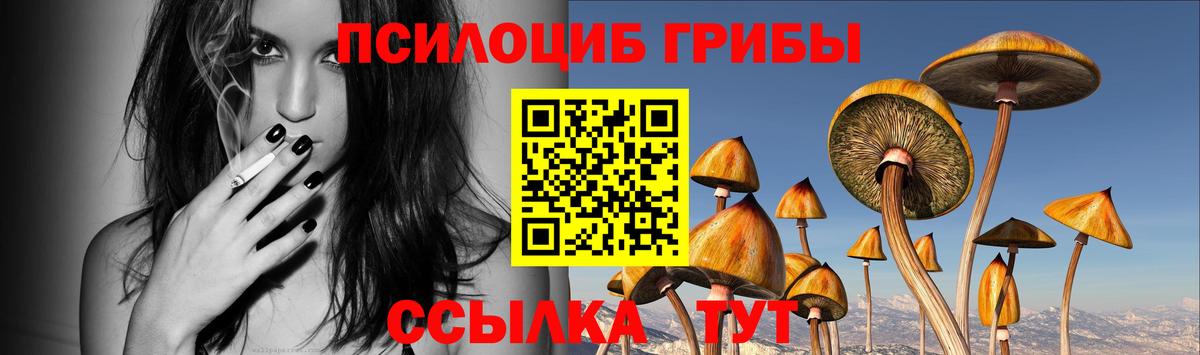 Ярославль  Псилоцибиновые грибы ЛСД  даркнет сайт  Вход с VPN 
