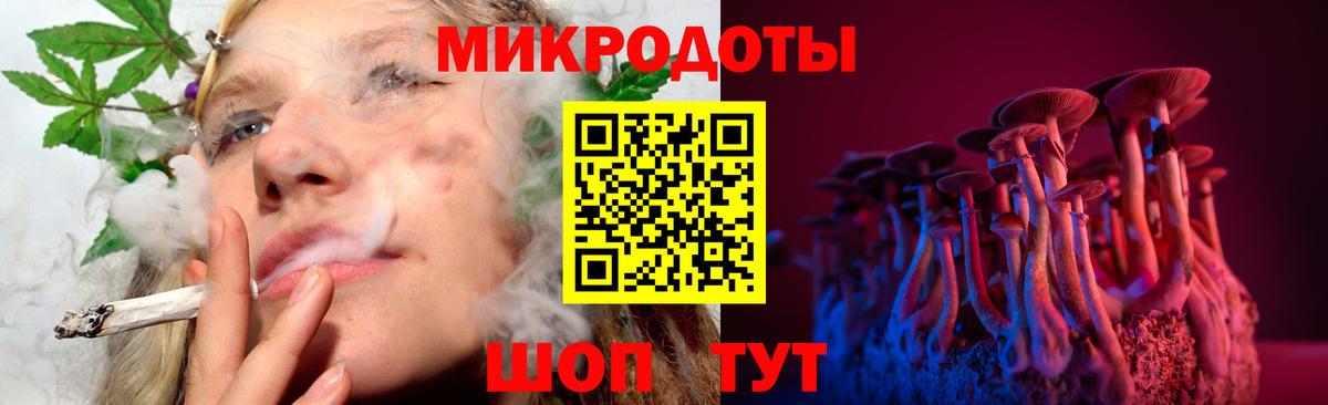 Псилоцибиновые грибы Psilocybine cubensis Ярославль
